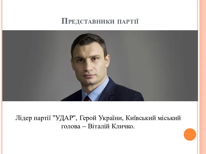 Представники партії Лідер партії "УДАР", Герой України, Київський міський голова – Віталій Кличко.