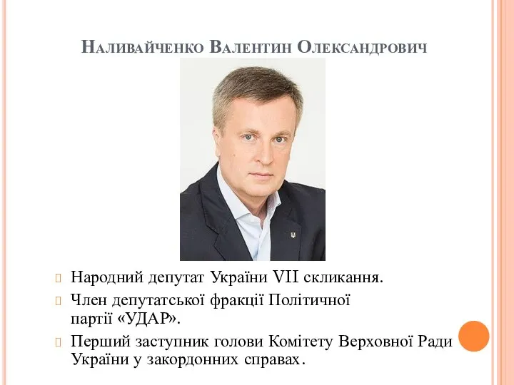 Наливайченко Валентин Олександрович Народний депутат України VII скликання. Член депутатської фракції