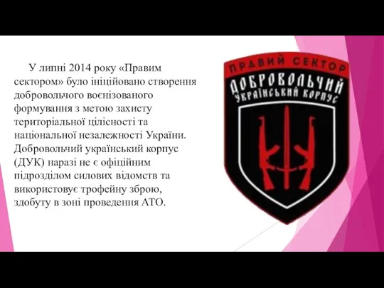 У липні 2014 року «Правим сектором» було ініційовано створення добровольчого воєнізованого