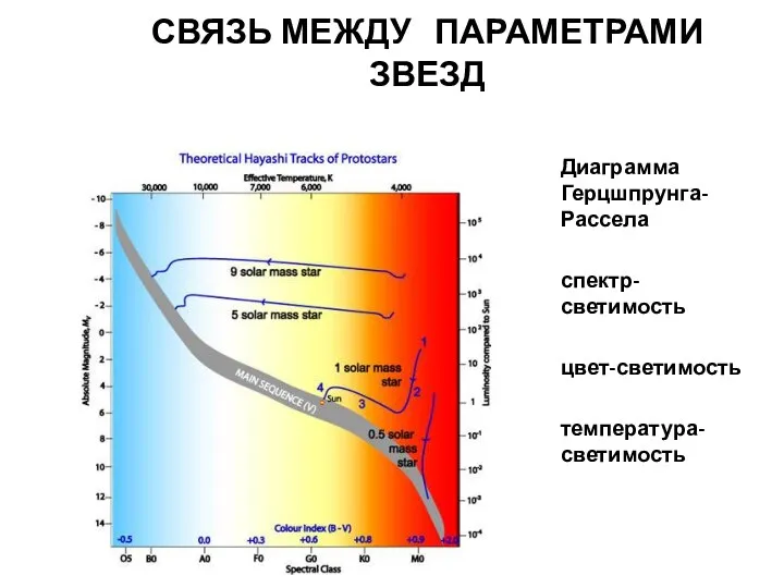 СВЯЗЬ МЕЖДУ ПАРАМЕТРАМИ ЗВЕЗД Диаграмма Герцшпрунга-Рассела спектр-светимость цвет-светимость температура-светимость