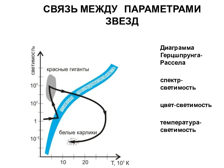 СВЯЗЬ МЕЖДУ ПАРАМЕТРАМИ ЗВЕЗД Диаграмма Герцшпрунга-Рассела спектр-светимость цвет-светимость температура-светимость