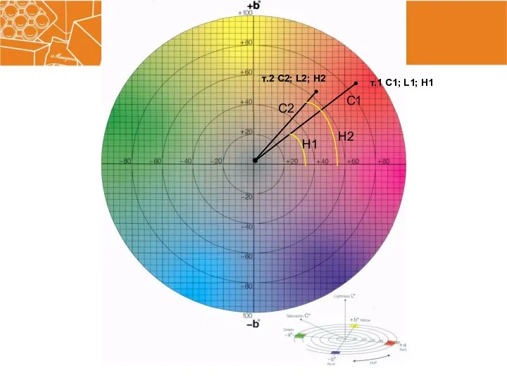 Yellow Red Blue Green т.1 C1; L1; H1 т.2 C2; L2; H2 C1 C2 H1 H2