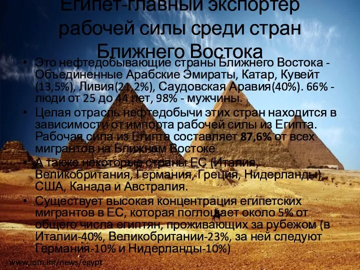 Египет-главный экспортер рабочей силы среди стран Ближнего Востока Это нефтедобывающие страны