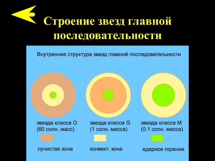 Строение звезд главной последовательности