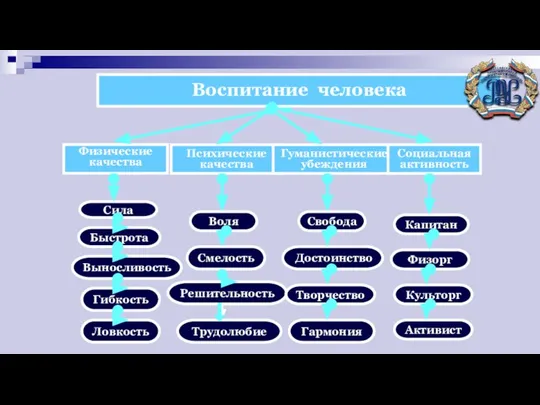 Физические качества Сила Быстрота Выносливость Гибкость Ловкость Воспитание человека Психические качества