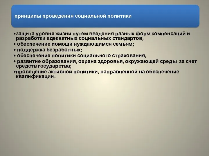 принципы проведения социальной политики защита уровня жизни путем введения разных форм