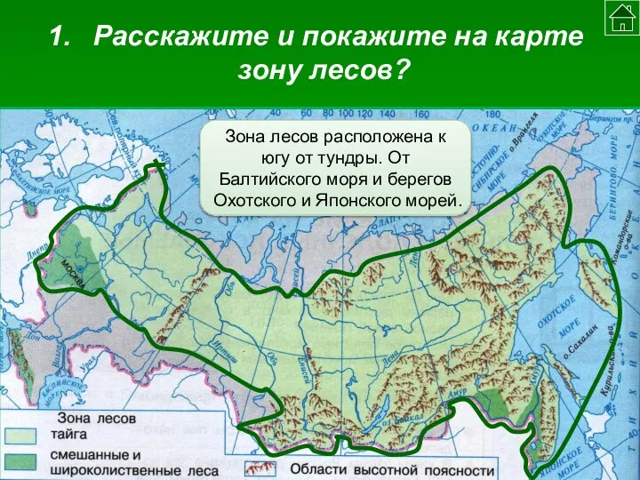 Расскажите и покажите на карте зону лесов? Зона лесов расположена к