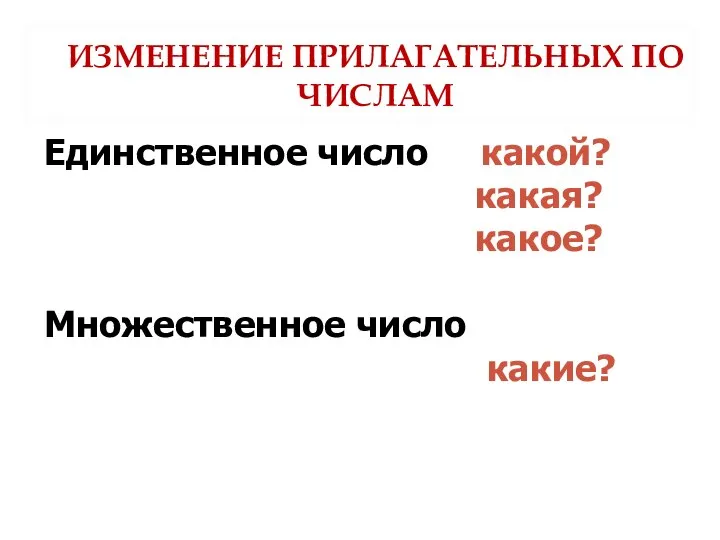 ИЗМЕНЕНИЕ ПРИЛАГАТЕЛЬНЫХ ПО ЧИСЛАМ Единственное число какой? какая? какое? Множественное число какие?