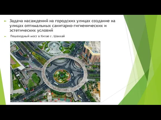 Задача насаждений на городских улицах создание на улицах оптимальных санитарно-гигиенических и