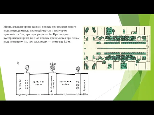Минимальная ширина зеленой полосы при посадке одного ряда деревьев между проезжей
