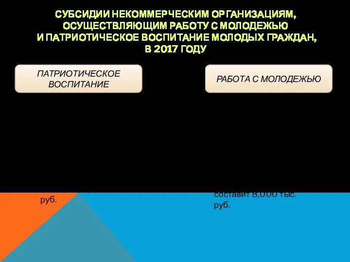 СУБСИДИИ НЕКОММЕРЧЕСКИМ ОРГАНИЗАЦИЯМ, ОСУЩЕСТВЛЯЮЩИМ РАБОТУ С МОЛОДЕЖЬЮ И ПАТРИОТИЧЕСКОЕ ВОСПИТАНИЕ МОЛОДЫХ