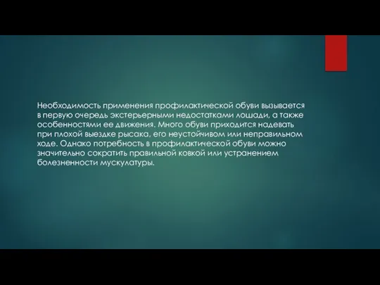 Необходимость применения профилактической обуви вызывается в первую очередь экстерьерными недостатками лошади,