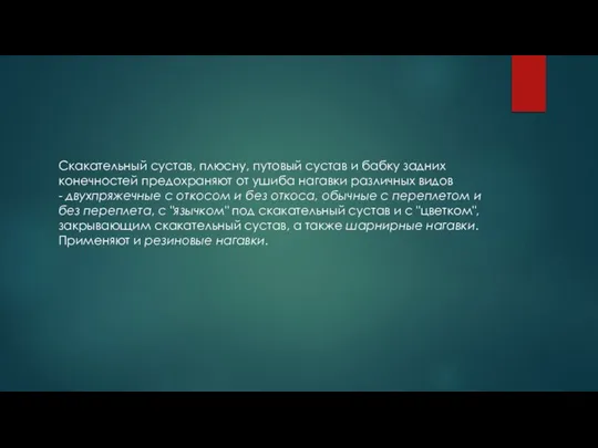 Скакательный сустав, плюсну, путовый сустав и бабку задних конечностей предохраняют от