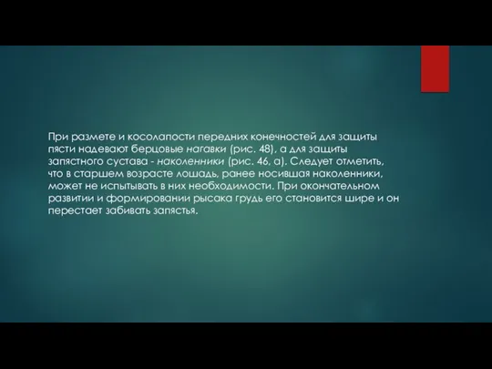 При размете и косолапости передних конечностей для защиты пясти надевают берцовые