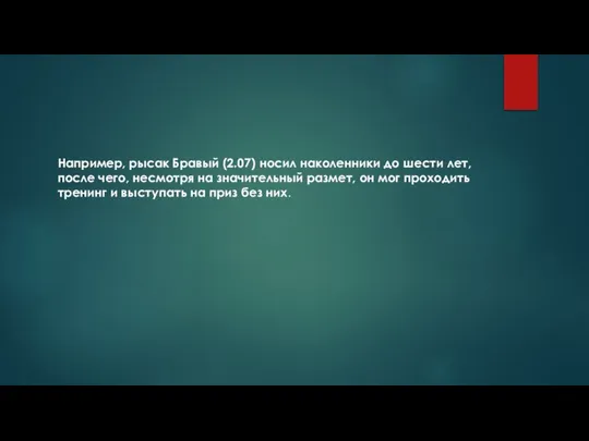 Например, рысак Бравый (2.07) носил наколенники до шести лет, после чего,