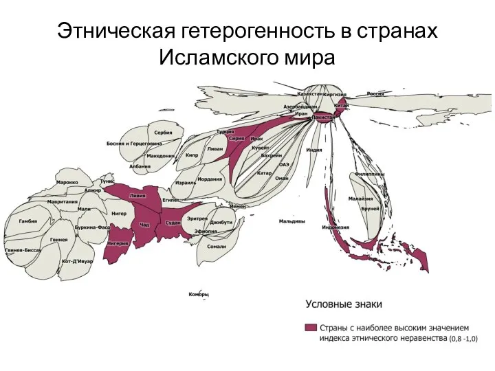 Этническая гетерогенность в странах Исламского мира