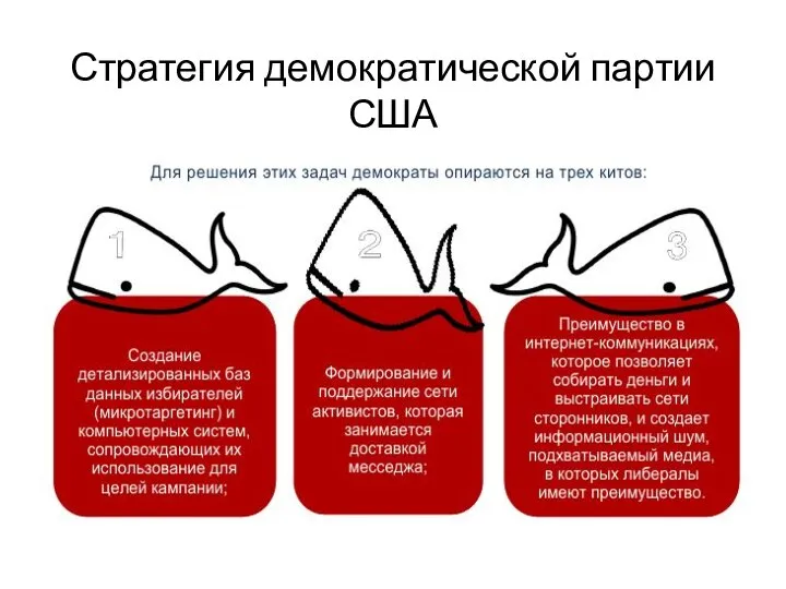 Стратегия демократической партии США