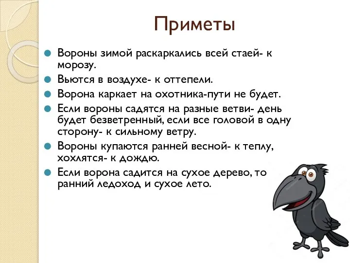 Приметы Вороны зимой раскаркались всей стаей- к морозу. Вьются в воздухе-