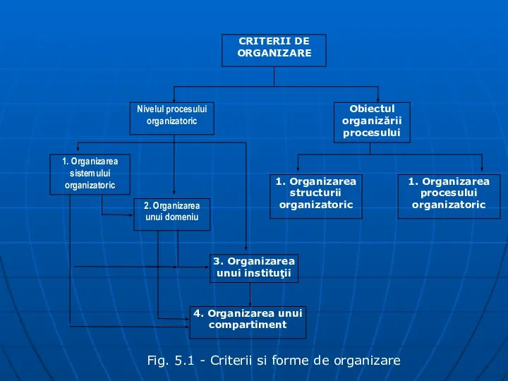 CRITERII DE ORGANIZARE Nivelul procesului organizatoric Obiectul organizării procesului 1. Organizarea