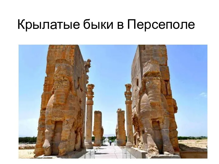 Крылатые быки в Персеполе