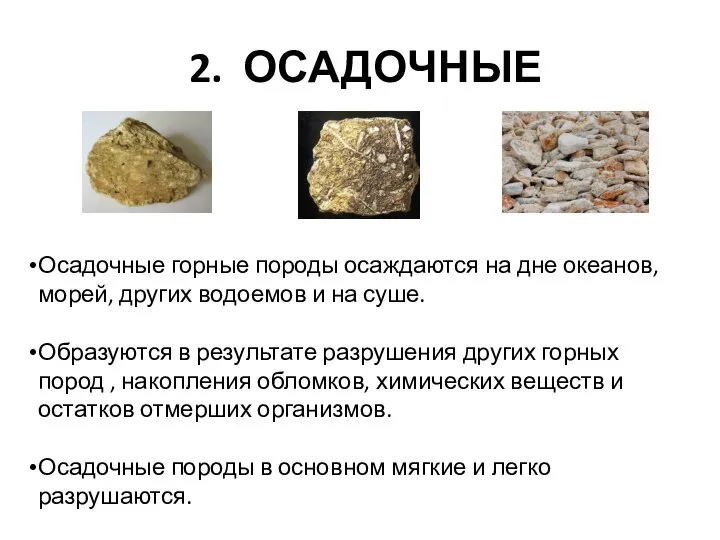 2. ОСАДОЧНЫЕ Осадочные горные породы осаждаются на дне океанов, морей, других