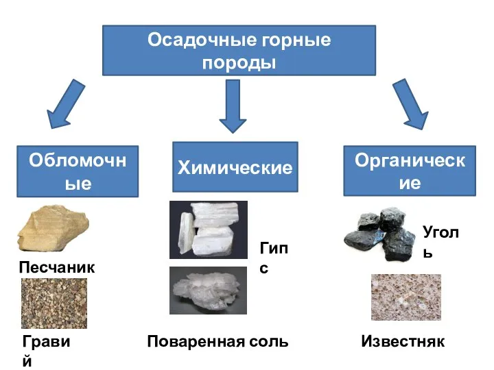 Осадочные горные породы Обломочные Химические Органические Песчаник Гравий Гипс Поваренная соль Уголь Известняк