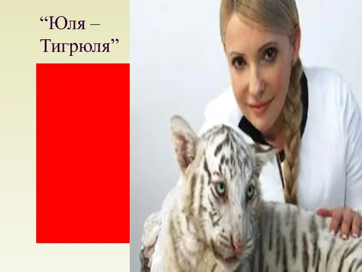“Юля – Тигрюля”