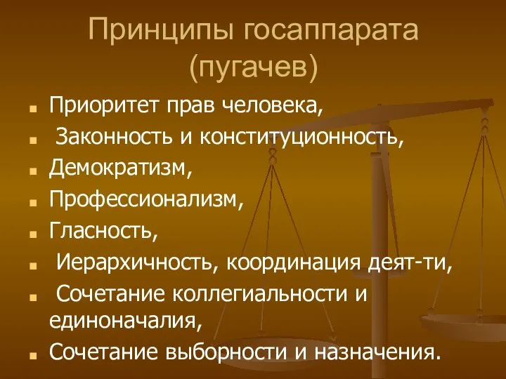 Принципы госаппарата (пугачев) Приоритет прав человека, Законность и конституционность, Демократизм, Профессионализм,