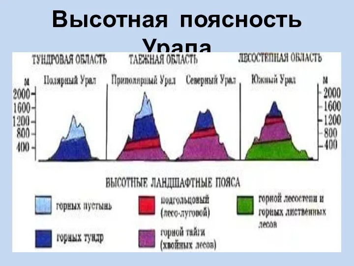 Высотная поясность Урала