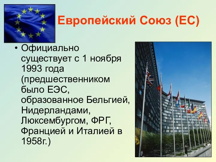 Европейский Союз (ЕС) Официально существует с 1 ноября 1993 года (предшественником