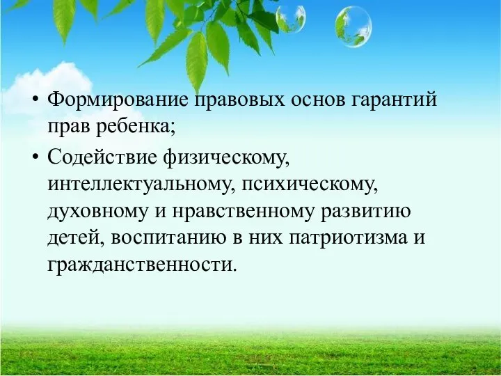 Формирование правовых основ гарантий прав ребенка; Содействие физическому, интеллектуальному, психическому, духовному