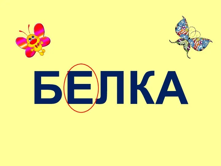 БЕЛКА