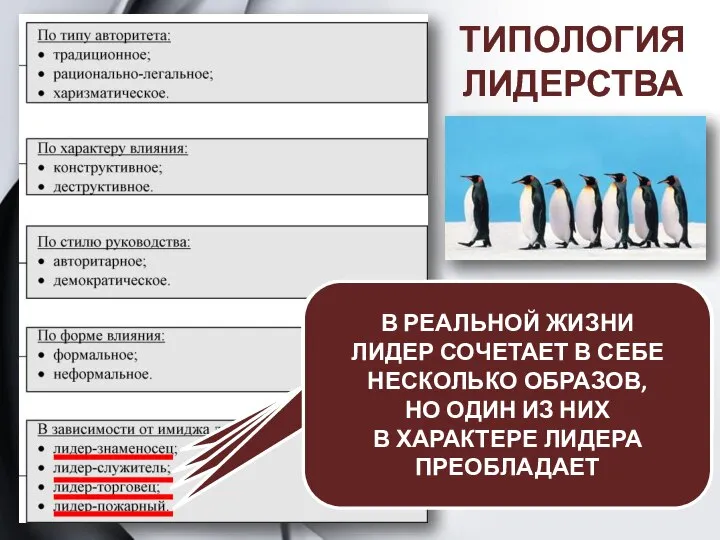 ТИПОЛОГИЯ ЛИДЕРСТВА великий человек, способный своей мечтой увлечь общество за собой