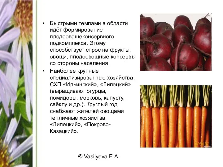 © Vasilyeva E.A. Быстрыми темпами в области идёт формирование плодоовощеконсервного подкомплекса.