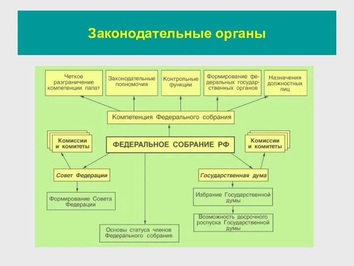 Законодательные органы