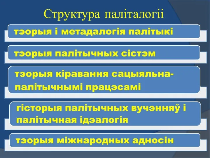 Структура паліталогіі