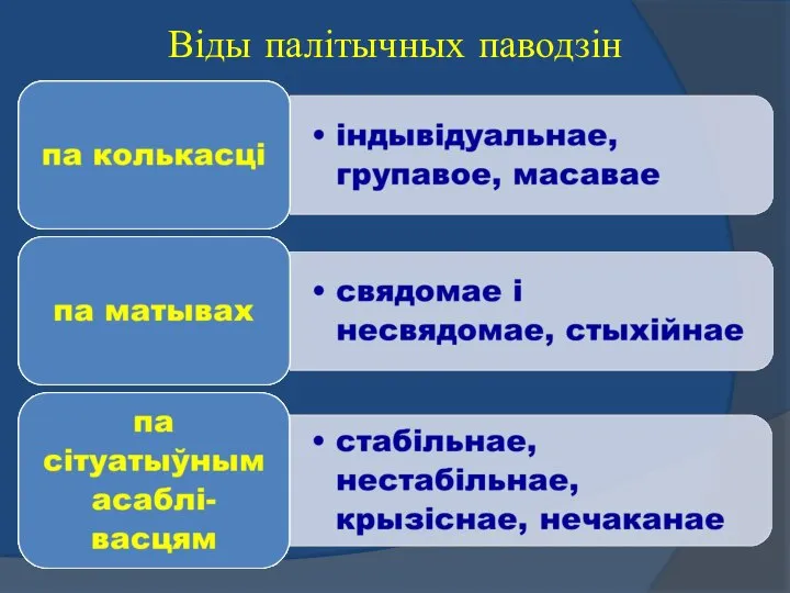 Віды палітычных паводзін