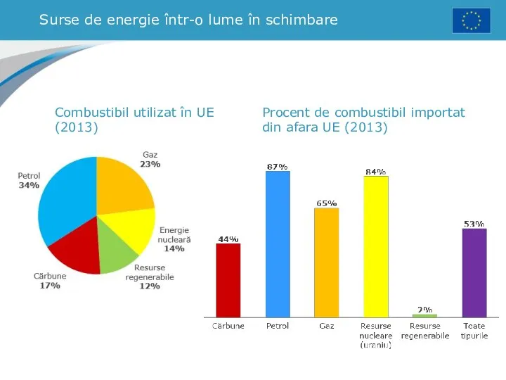 Surse de energie într-o lume în schimbare Combustibil utilizat în UE