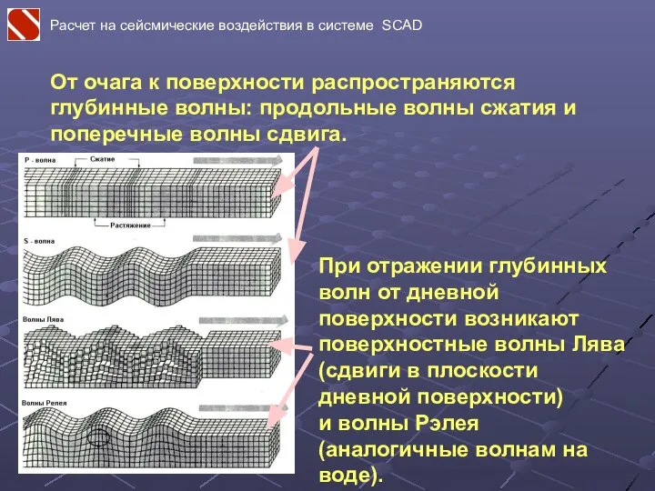 От очага к поверхности распространяются глубинные волны: продольные волны сжатия и