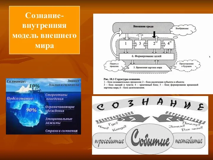 Сознание-внутренняя модель внешнего мира