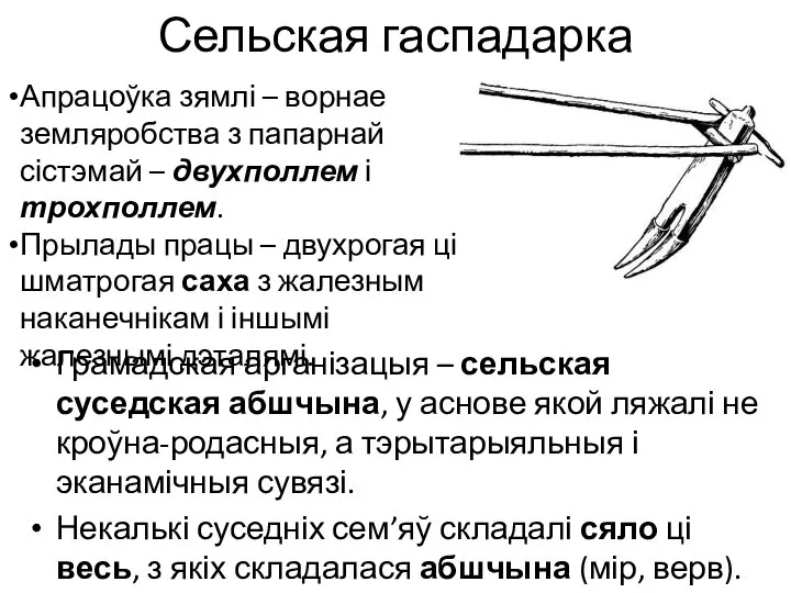 Сельская гаспадарка Грамадская арганізацыя – сельская суседская абшчына, у аснове якой