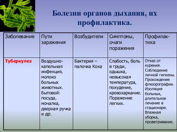 Болезни органов дыхания, их профилактика.