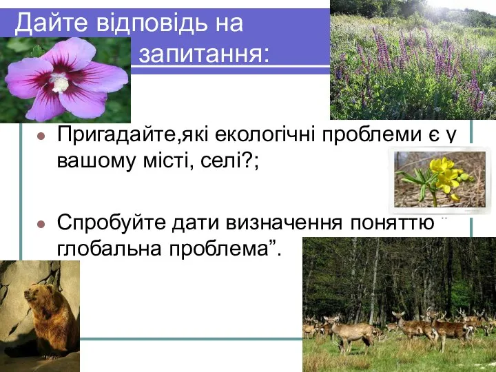 Дайте відповідь на запитання: Пригадайте,які екологічні проблеми є у вашому місті,