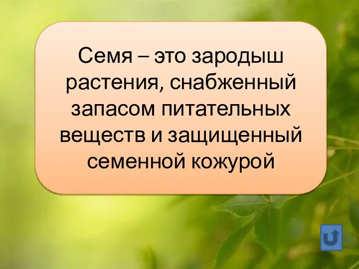 Семя – это зародыш растения, снабженный запасом питательных веществ и защищенный семенной кожурой