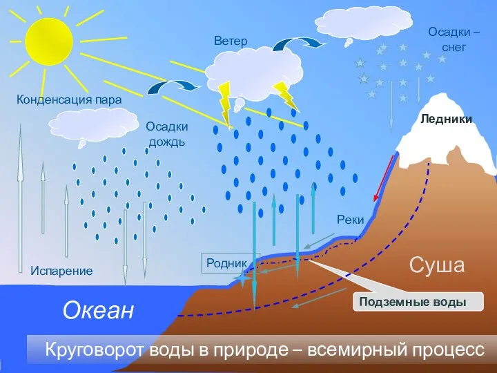 Испарение Конденсация пара Осадкидождь Осадки – снег Ветер Круговорот воды в