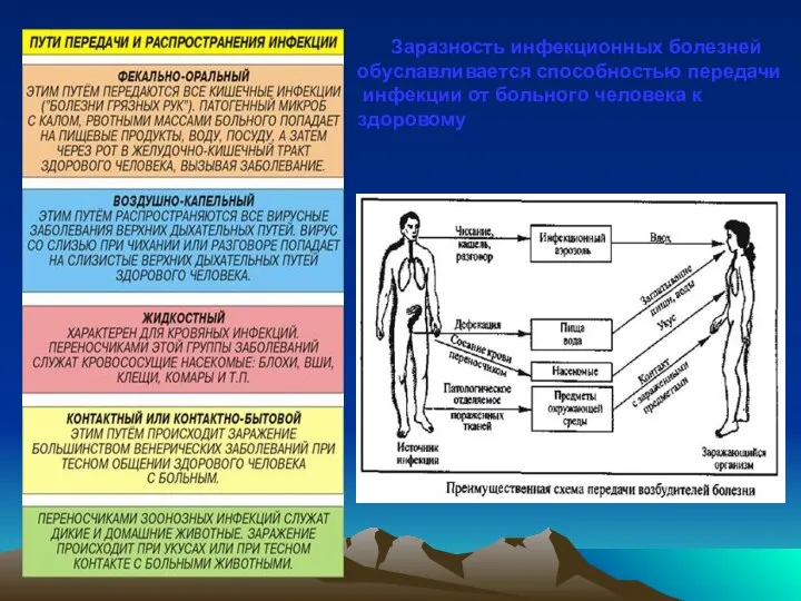 Заразность инфекционных болезней обуславливается способностью передачи инфекции от больного человека к здоровому