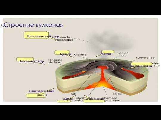 «Строение вулкана» Магма Вулканический дым Кратер Очаг магмы Жерло Лавовый поток Боковой кратер Слои застывшей магмы