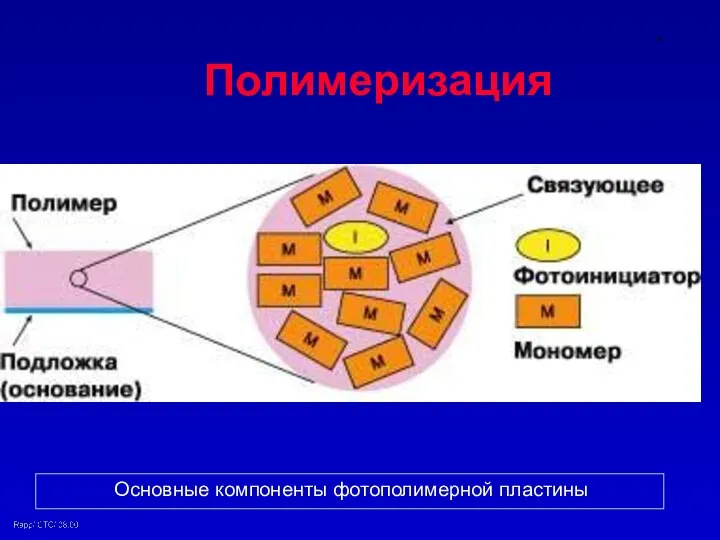 Полимеризация Основные компоненты фотополимерной пластины