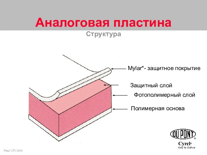 Аналоговая пластина Структура Mylar*- защитное покрытие Защитный слой Фотополимерный слой Полимерная основа