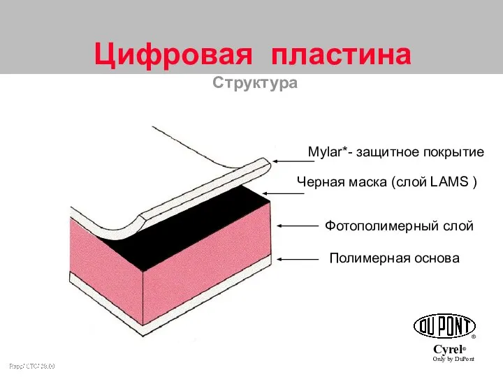 Mylar*- защитное покрытие Черная маска (слой LAMS ) Фотополимерный слой Полимерная основа Цифровая пластина Структура